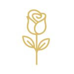 Fine Fragrance Oil – الزيوت العطرية